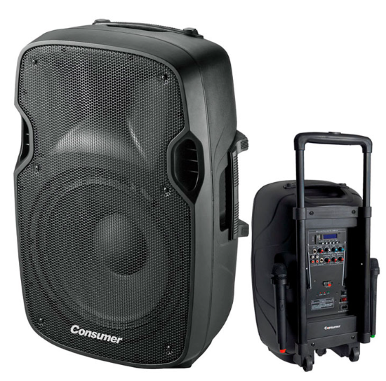 PARLANTE CONSUMER 15" SPEAKER BOX C/PEDESTAL